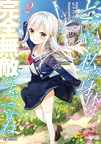 どうやら私の身体は完全無敵のようですね(2)