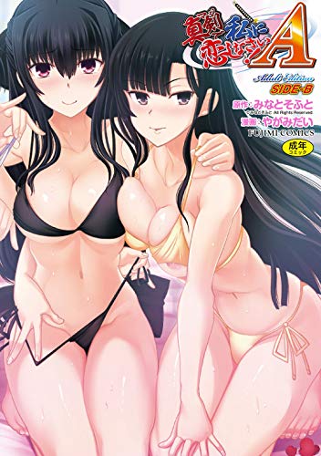 真剣で私に恋しなさい!A Adult 〜SIDE-B