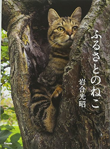 ふるさとのねこ