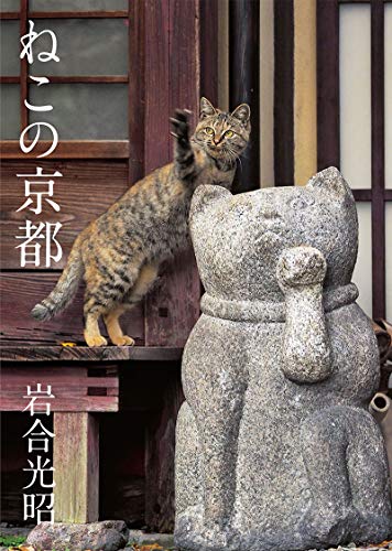 ねこの京都