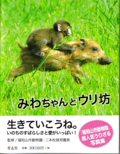 一気にわかる！池上彰の世界情勢２０１８ 国際紛争、一触即発編