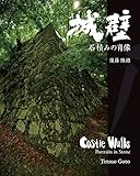 城壁 石積みの肖像
