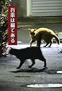 吾輩は猫である
