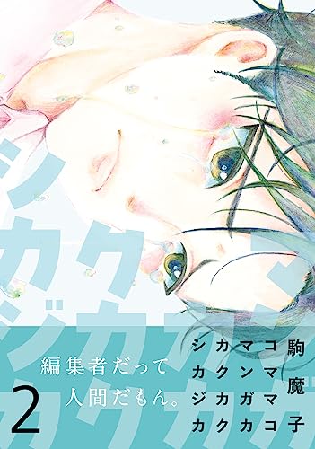 マンガカカクカクシカジカ2