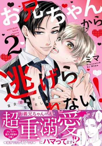 お兄ちゃんから逃げられない！〜童貞非処女になりました2の表紙