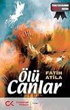 Amazon cover image