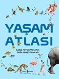 Amazon kapak resmi