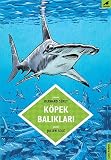 Amazon kapak resmi