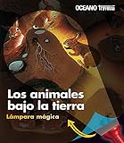 Imagen de cubierta