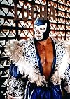 Lucha (Spanish Edition)