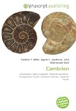 Cambrien Palozoque Adam Sedgwick Roderick Murchison Stratigraphie Fossile Cambrien Infrieur Cambrien Moyen