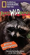 Really Wild Animals: Amazing North America [2005 video]
