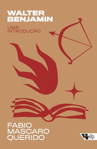 Capa do livro Walter Benjamin: uma introdução