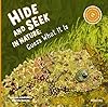 Hide and Seek in Nature: Guess What It Is (Kidding Nature)
