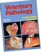 Veterinary Pathology / 