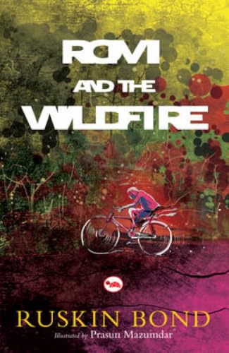 Romi and the Wild Fire book cover