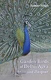 Birds of IIC