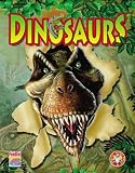 Amazon cover image