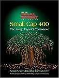 Small Cap 400