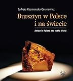 Bursztyn W Polsce I Na Swiecie