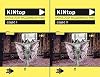 KINtop : antologia wczesnego kina. Cz. 1