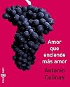Amor que enciende más amor