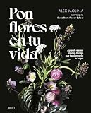 Imagen de portada de Amazon