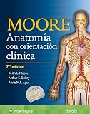 Anatoma Con Orientacin Clnica Clinicallyoriented Anatomy