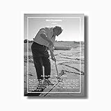 Imatge de portada d'Amazon