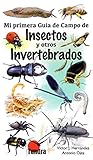 Mi Primera Gua De Campo De Insectos Y Otros Invertebrados