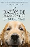 Imagen de portada de Amazon