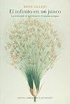 Papyrus: The Invention of Books in the Ancient World