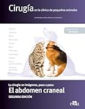 Cirug&iacute;a en la cl&iacute;nica de peque&ntilde;os animales