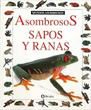 Imagen de portada de Amazon