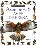 Imagen de portada de Amazon