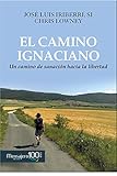 Imagen de portada de Amazon