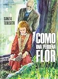 Imagen de portada de Amazon