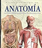 Atlas Ilustrado De Anatoma Spanish Edition