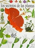 Los Secretos De Las Plantasthe Secrets Of Plants Eyewitness Series In Spanish Spanish Edition