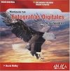 Manipula tus fotografías digitales con Photoshop CS2
