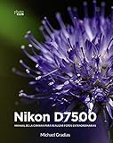 Imagen de portada de Amazon