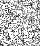 Imatge de portada d'Amazon