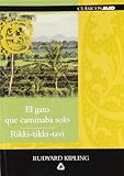 Imagen de portada de Amazon