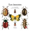 Los insectos