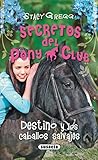 Destino Y Los Caballos Salvajes Destiny And The Wild Horses