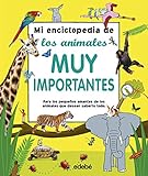 Imagen de portada de Amazon