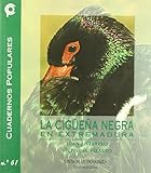 Imagen de portada de Amazon