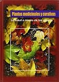 Imagen de portada de Amazon