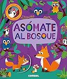 Imagen de portada de Amazon