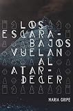 Los Escarabajos Vuelan Al Atardecer